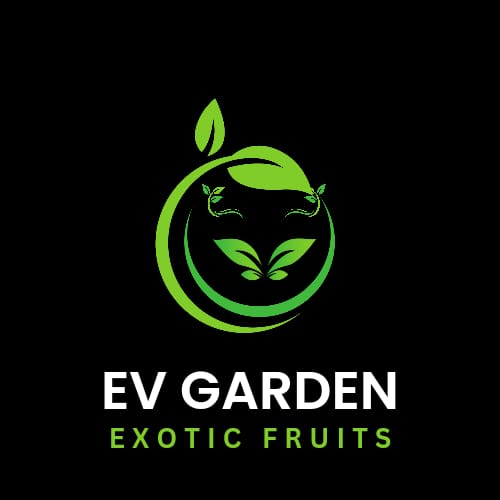 EV Garden Exotic Fruits Plant Kakkad